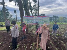 Polri Turun ke Lahan, Dampingi Petani Tanam Jagung Kuartal IV Dukung Swasembada Pangan di Pasuruan