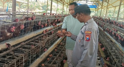 Bhabinkamtibmas Polsek Rembang Laksanakan Pemantauan Peternakan Ayam Petelur Dukung Ketahanan Pangan Nasional
