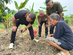 Polres Tanjung Perak Bersama PPL Intensifkan Pengecekan pH Tanah Lahan Jagung Kenjeran. 