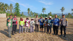 DUKUNG KETAHANAN PANGAN, POLSEK KLABANG TANAM BIBIT JAGUNG BERSAMA PETANI
