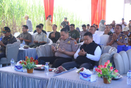 Dukung Swasembada Gula Nasional, Kapolres Bondowoso Turun Langsung ke Lahan Tebu Bersama Forkopimda