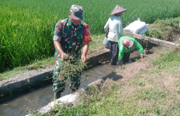 Sinergi Upsus Ketahanan Pangan, Serma Aminoto Bersama Poktan Margo Rukun Bersihkan Saluran Irigasi
