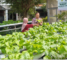 Bhabinkamtibmas Babat Jerawat Dampingi Poktan Barokah Kembangkan Hidroponik untuk Dukung Ketahanan Pangan