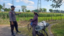 *Dekat dan Humanis, Polsek Sukodono Intensifkan Pendampingan Petani demi Ketahanan Pangan*