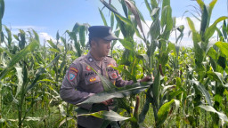 *Dukung Asta Cita Presiden, Bhabinkamtibmas Polsek Pasirian Dampingi Warga Perkuat Ketahanan Pangan*