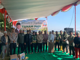 Tanam Padi Serentak di Beji, Kapolsek: Wujud Sinergi Pertahankan Swasembada Pangan
