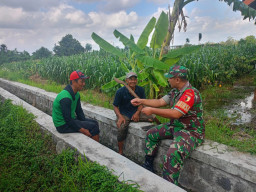 Sertu Yudhi Rimba Gelar Komsos Ketahanan Pangan serap Aspirasi  petani Bersama Poktan Kembang Kuning