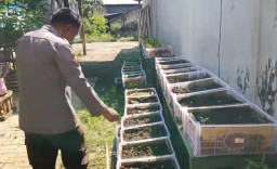 Gugus Tugas Polsek Rembang Pantau Lahan P2L, Wujudkan Ketahanan Pangan Melalui Implementasi Asta Cita Presiden RI