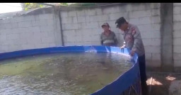 Tak Hanya Jaga Kamtibmas, Polisi di Rembang Dampingi Budidaya Lele Warga