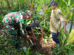 Lestarikan Lingkungan, Serda Budiono Bersama Poktan Sidodadi Tanam Pohon Melalui Aksi Bersatu Dengan Alam