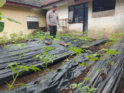 Bhabinkamtibmas Polsek Gucialit Aktif Dukung Ketahanan Pangan Nasional