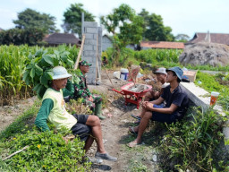 Dukung Ketahanan Pangan, Serka Anton Ady Gelar Komsos Persiapan Panen Jagung Bersama Poktan Rahayu