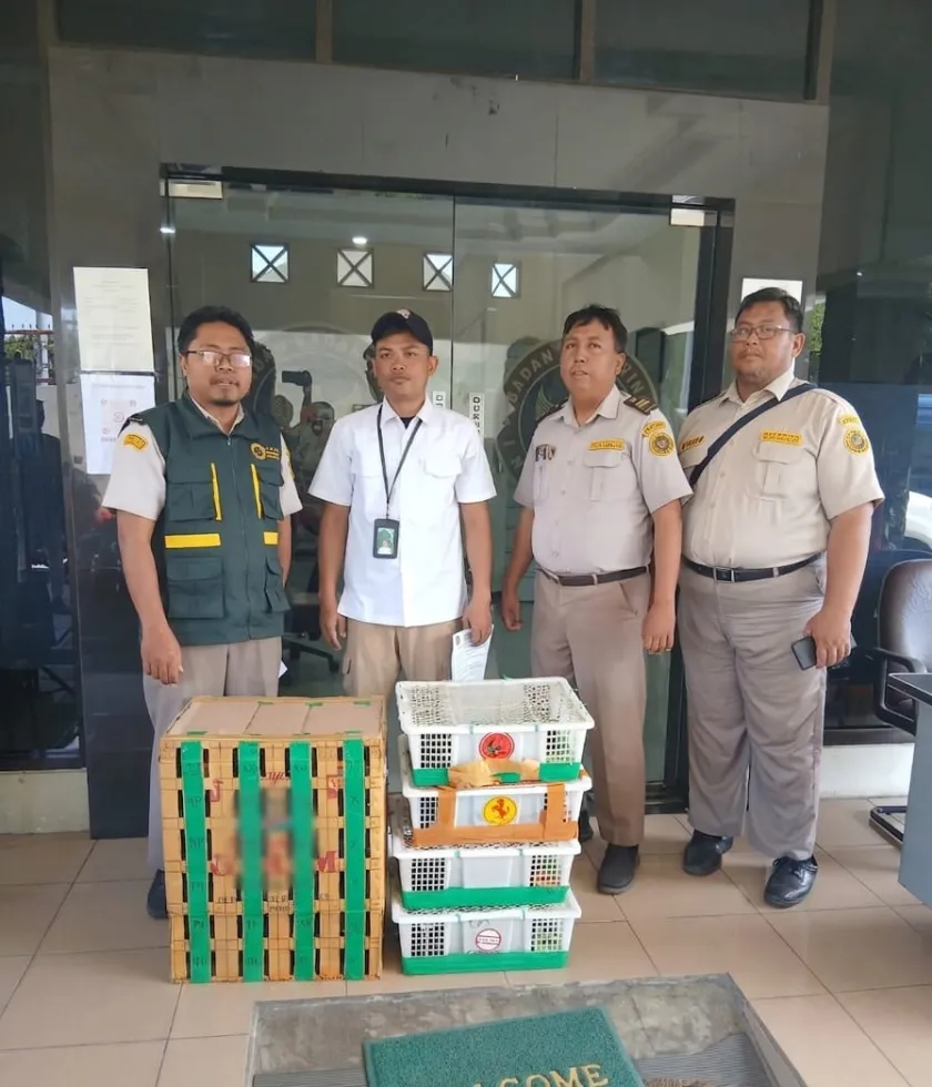 69 Burung Disembunyikan Di Dalam Truk Tanpa Dokumen Karantina Digagalkan di Pelabuhan Tanjung Perak