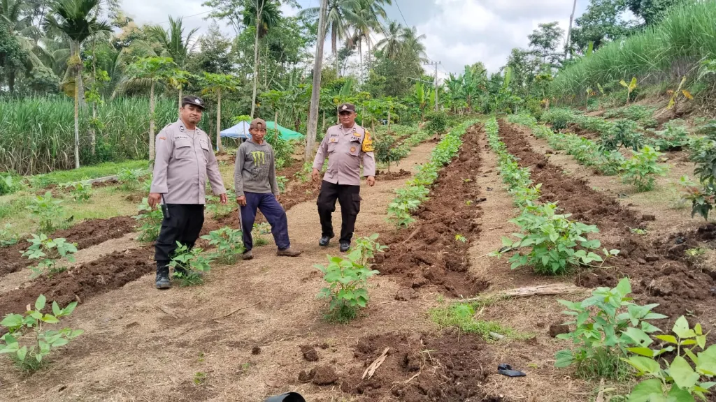 Bhabinkamtibmas Polsek Gucialit Turun ke Lahan Pertanian Warga