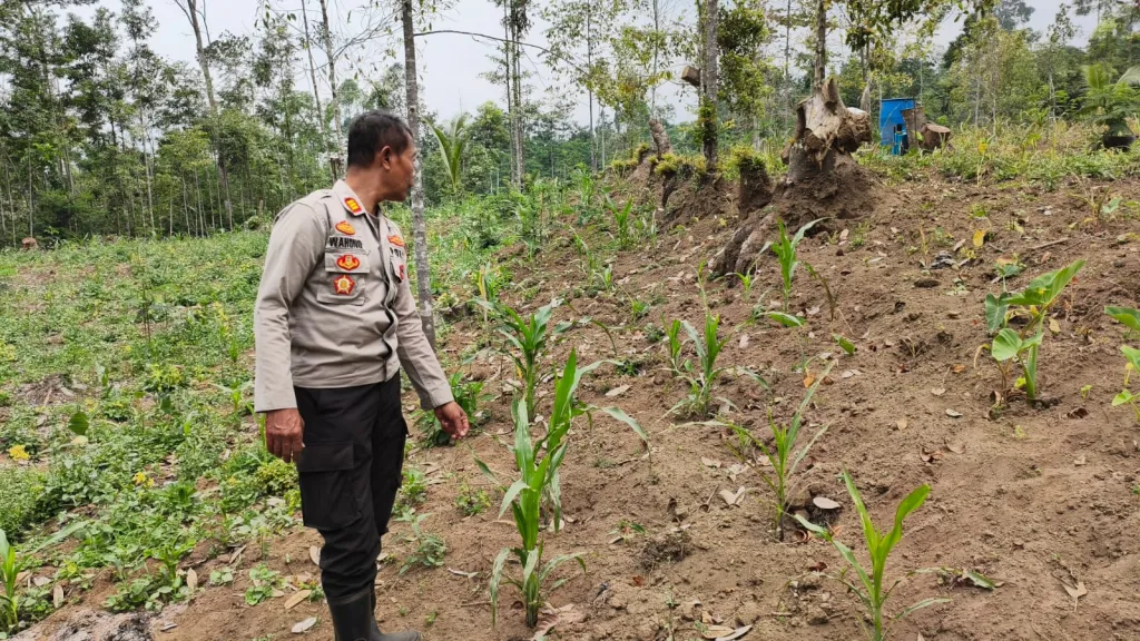 Wujudkan Swasembada Pangan, Kapolsek Senduro Sambangi Lahan Pertanian Warga