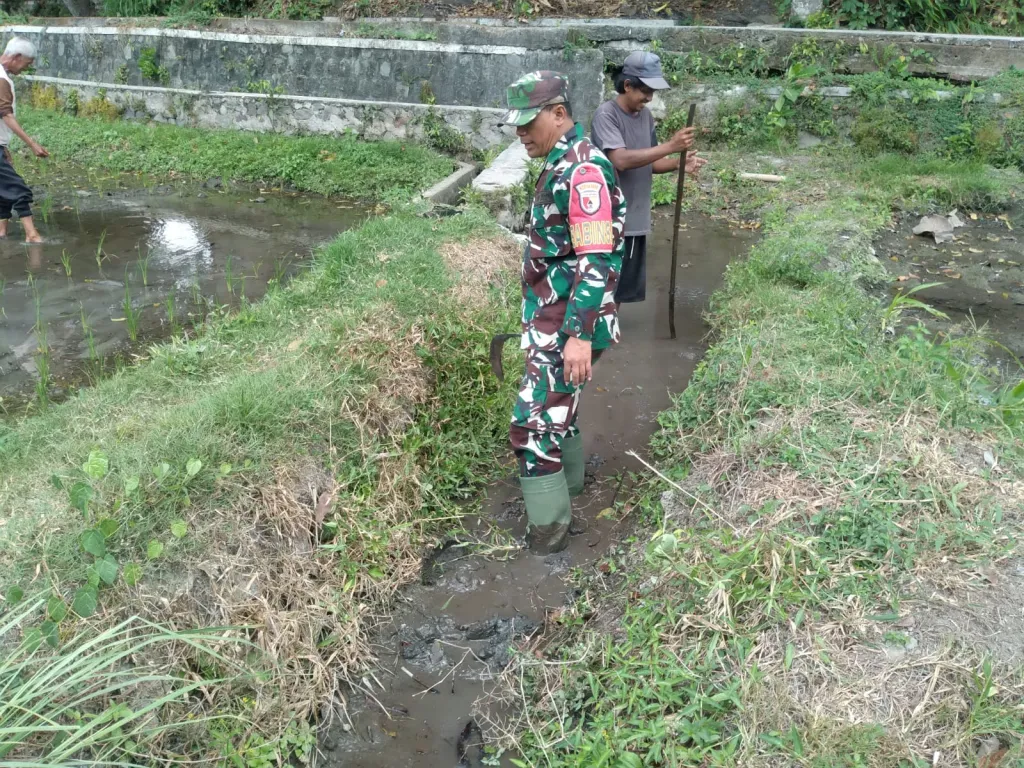 Cegah Genangan Dan Optimalkan Irigasi, Babinsa Koramil 0808/20 Sananwetan Gotong Royong Bersihkan Aliran Air Lahan Padi