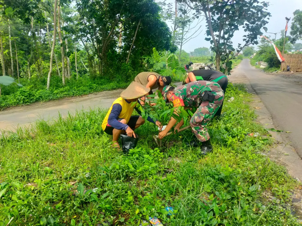 Jaga Kelestarian Lingkungan, Babinsa Ngadirejo Bersama Warga Gotong Royong Tanam Pohon Saman Dan Trembesi