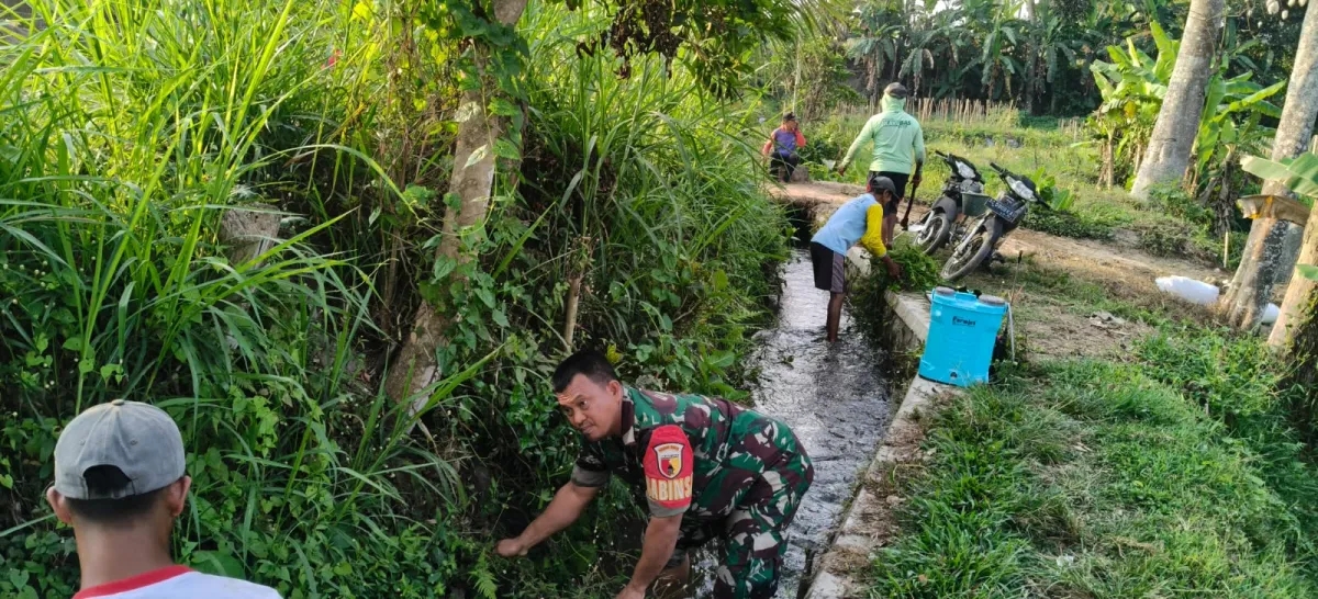 Dukung Ketahanan Pangan, Serda Nurhatib Dampingi Poktan Margo Rukun III Bersihkan Irigasi Sawah