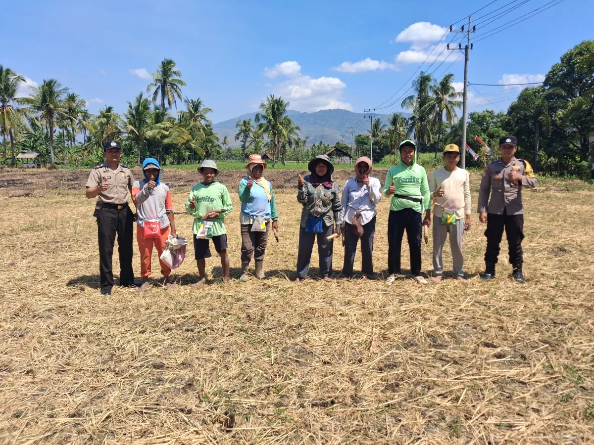 Gerakan Nyata dari Desa Sumbersuko, Polsek Klabang Kobarkan Semangat Swasembada Pangan