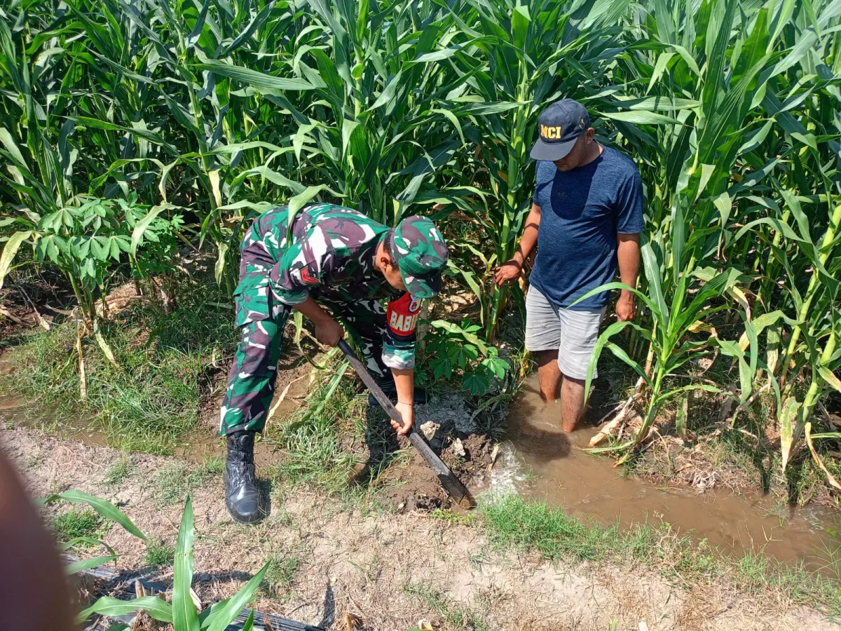 Sinergi TNI Dan Petani Babinsa Purwokerto Pastikan Pasokan Air Lahan Jagung Dusun Tumpuk Optimal
