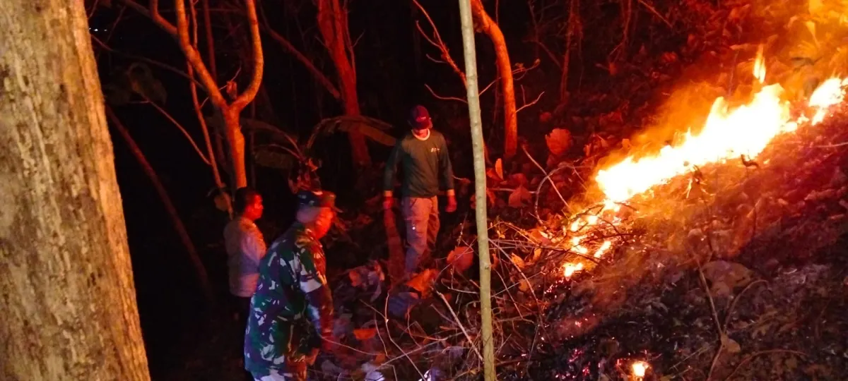 Aksi Sigap Babinsa Dan Warga Padamkan Kebakaran Hutan Jati Di Pagerwojo Blitar